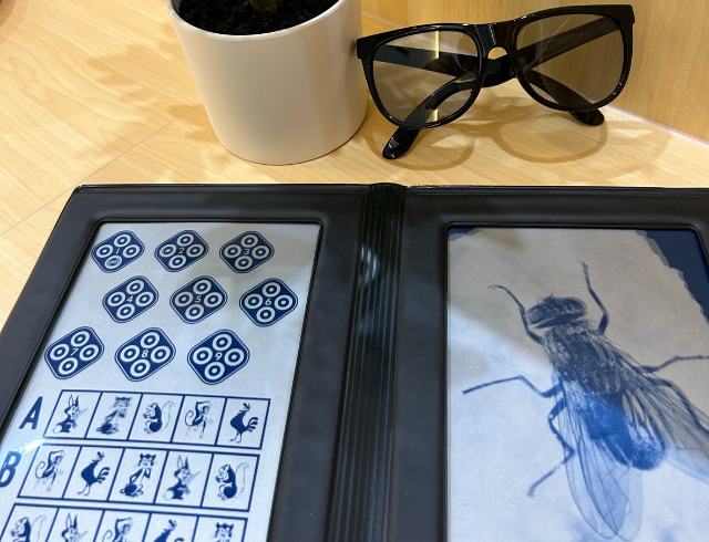 3D vision testing